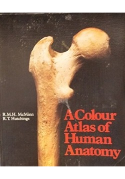Human Anatomy