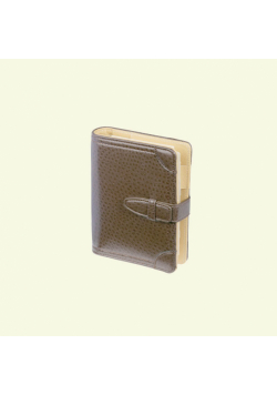 Organizer 2025 Zurich premium brązowy 11x14,5cm ORP-05ZB