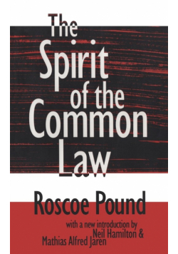 The Spirit of the Common Law