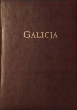 Galicja Album Widoków