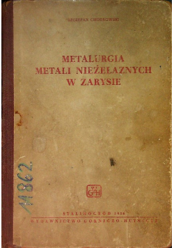 Metalurgia metali nieżelaznych w zarysie