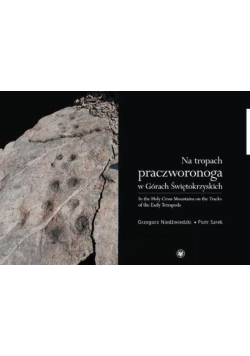 Na tropach praczworonoga w Górach Świętokrzyskich
