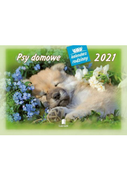 Kalendarz 2021 WL08 Psy domowe Kalendarz rodzinny 5 sztuk