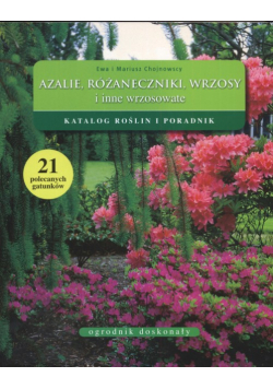 Azalie różaneczniki wrzosy i inne wrzosowate