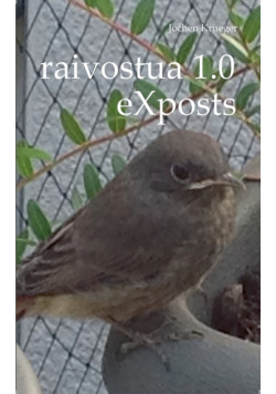 raivostua 1.0