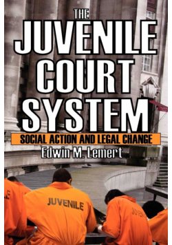 The Juvenile Court System