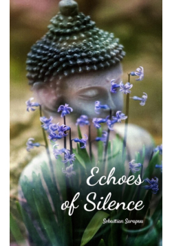 Echoes of Silence