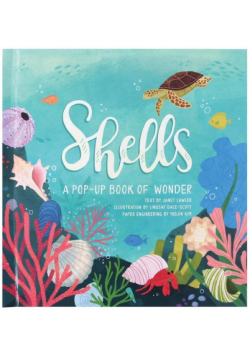 Shells A Pop-Up Book of Wonder