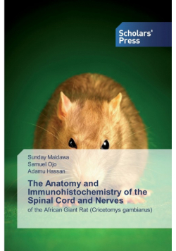 The Anatomy and Immunohistochemistry of the Spinal Cord and Nerves