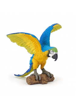 Papuga Ara niebieska