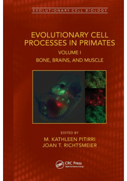 Evolutionary Cell Processes in Primates