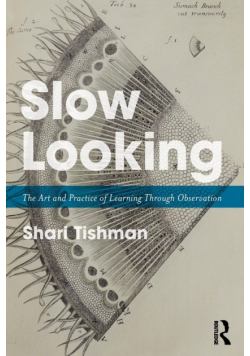 Slow Looking