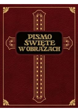 Pismo Święte w obrazach. Dzieje ST i NT