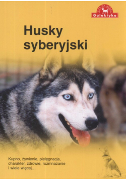 Husky syberyjski