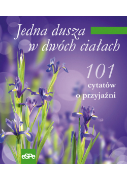 Jedna dusza w dwóch ciałach