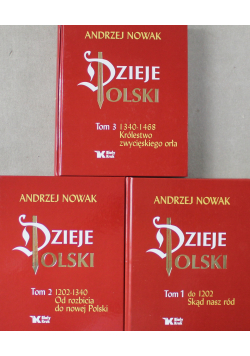 Dzieje Polski Tom I  do 3