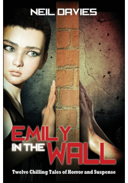 Emily in the Wall