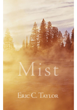 Mist