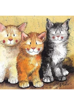 Karnet AC323 Koty Rodger, Dodger i Tinkerbell