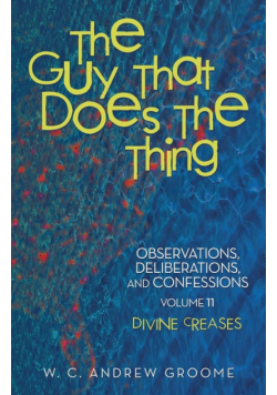 The Guy that Does the Thing-Observations, Deliberations, and Confessions, Volume 11