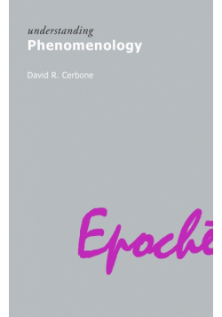 Understanding Phenomenology
