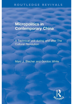 Micropolitics in Contemporary China