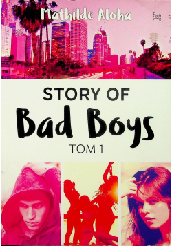 Sroty of bad boys tom I