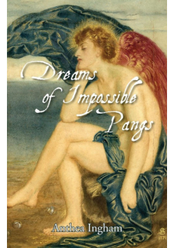 Dreams of Impossible Pangs