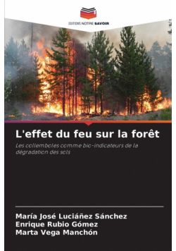 L'effet du feu sur la forêt