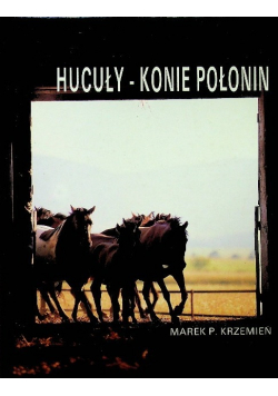 Hucuły konie połonin