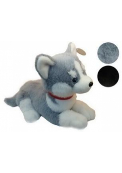 Husky pluszowy leżący 45cm mix