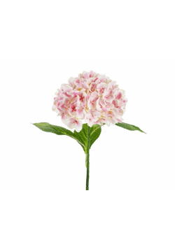 Hortensja Premium różowa 69cm