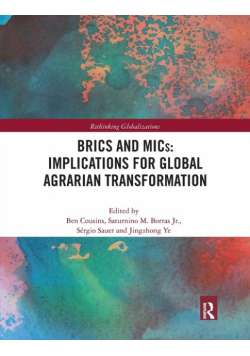 BRICS and MICs