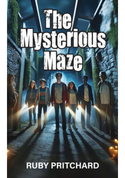 The Mysterious Maze