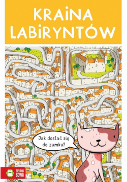 Kraina labiryntów