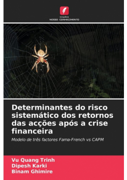 Determinantes do risco sistemático dos retornos das acções após a crise financeira