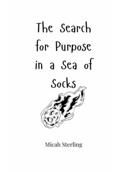 The Search for Purpose in a Sea of Socks