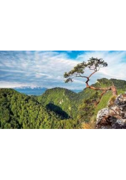 Kalendarz 2020 Trójdzielny Pieniny KT04