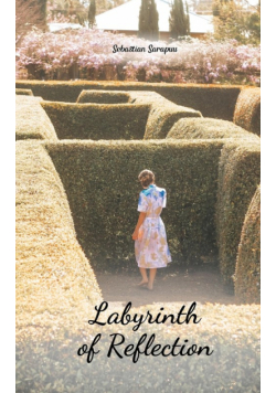 Labyrinth of Reflection