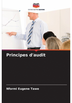 Principes d'audit