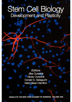 Stem Cell Biology
