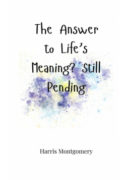 The Answer to Life's Meaning? Still Pending