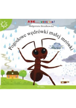 Pogodowe wędrówki malej mrówki