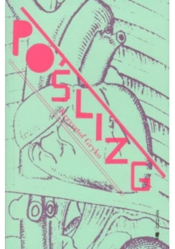 Poślizg