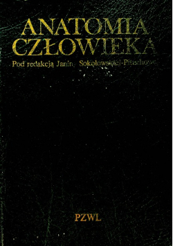 Anatomia człowieka