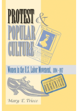 Protest And Popular Culture