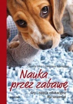 Pies Gry i zabawy edukacyjne