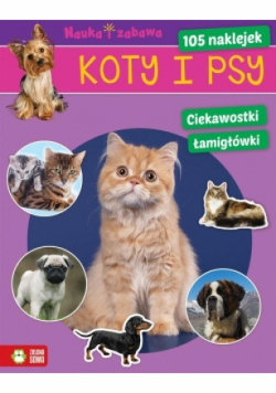 Koty i psy Nauka i zabawa