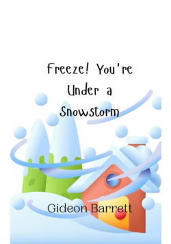 Freeze! You're Under a Snowstorm
