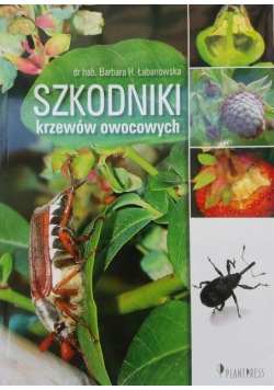 Szkodniki Krzewów owocowych